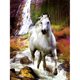 thumbnail image 1 of Pintura de diamante (DE6483) 5D DIY Círculo completo Caballo cruzando el río 40x50cm Blanco FLhrweasw Nuevo, 1 of 1