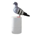 thumbnail image 1 of Pigeons Automatic Induction Foam Hand Washer Non-Contact Electric Soaps Dispenser for Bathroom Home, 1 of 4