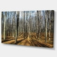 thumbnail image 2 of Shade from Sun in Autumn Forest - Modern Forest Canvas Art, 2 of 3