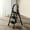3-step black, variant on Heavy-Duty 4/3-Step Folding Ladder 500Lbs Capacity, Anti-Slip Pedals & Sturdy Handrails for Home, Garage, Workshop & Construction