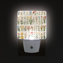 Yayeee LED Night Light for The Home Plug in With Light Sensors 2 Pack, Beige Wildflowers