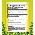 thumbnail image 3 of Buddha's Herbs Premium Organic Thyme Leaf Tea, 44 Tea Bags (Pack of 2), 3 of 5