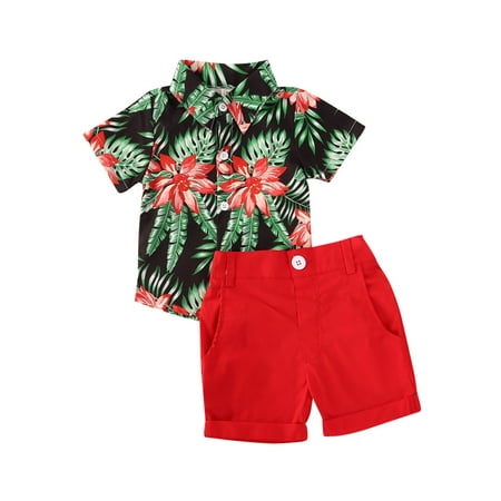 

ZIYIXIN Toddler Baby Boy Clothes Flamingo Short Sleeve T-Shirts Tops Shorts Pants Set 2PCS Summer Outfits Red 18-24 Months