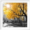 thumbnail image 2 of Art.com Park Pretty II Photographic Print by Assaf Frank, White Frame Wall Art, 29" x 29", 2 of 5