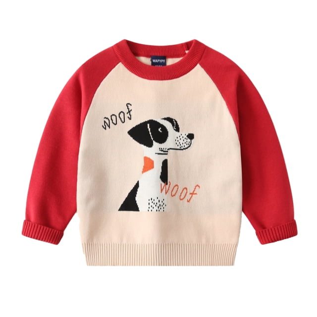 QUDDERR Chandail à Manches Longues pour Garçons Bébé Automne Hiver Motif Dessin Animé Col Rond 2-7 Ans