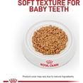 thumbnail image 2 of Royal Canin Size Health Nutrition Small Puppy Thin Slices in Gravy Dog Food 5.1 oz., Case of 24, 2 of 2