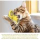 thumbnail image 5 of Shxx Interactive Windmill Cat Toys With Catnip : Cat Toys For Indoor Cats Funny Kitten Toys With Led Light Ball Suction Cupcat Nip Toy For Cat Chew,ye, 5 of 5