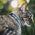 thumbnail image 2 of Buckle-Down Breakaway Cat Collar With Bell, Plastic Clip, Easy Adjustable, Triple Stripe White Blue, 8.5 to 12 Inches 0.5 Inch Wide, 2 of 4