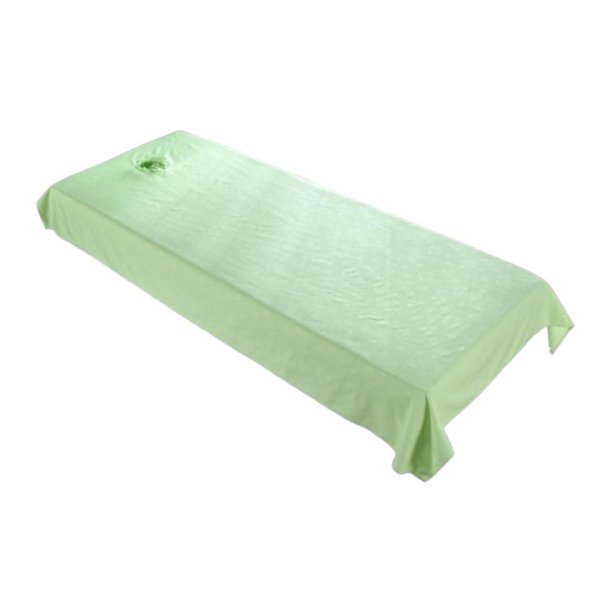 Sábana de salón de belleza con agujero, mantel reutilizable para cama de , funda para cama de salón para hotel, accesorios para mesa de salón en Verde claro