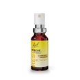 thumbnail image 1 of Bach Flower Remedies Rescue Remedy Spray - 0.245 fl oz, 1 of 8
