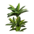 thumbnail image 4 of Artificial Plant - 51" Tall - Indoor - Floor - Potted - Green Leaves, 4 of 6