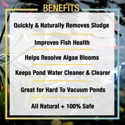 Microbe-Lift Sludge Away Pond Water Conditioner, 1 Gallon