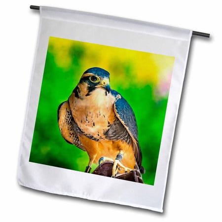 Peregrine Falcon. 18 x 27 inch Garden Flag fl-333139-2