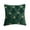 Green, variant on Christmas Pillow Covers 18x18 inch Set of 2 Xmas Decorations Soft Plush Faux Fur Wool Beige Christmas Tree Throw Pillow Cases Winter Holiday Decor for Sofa Living Room