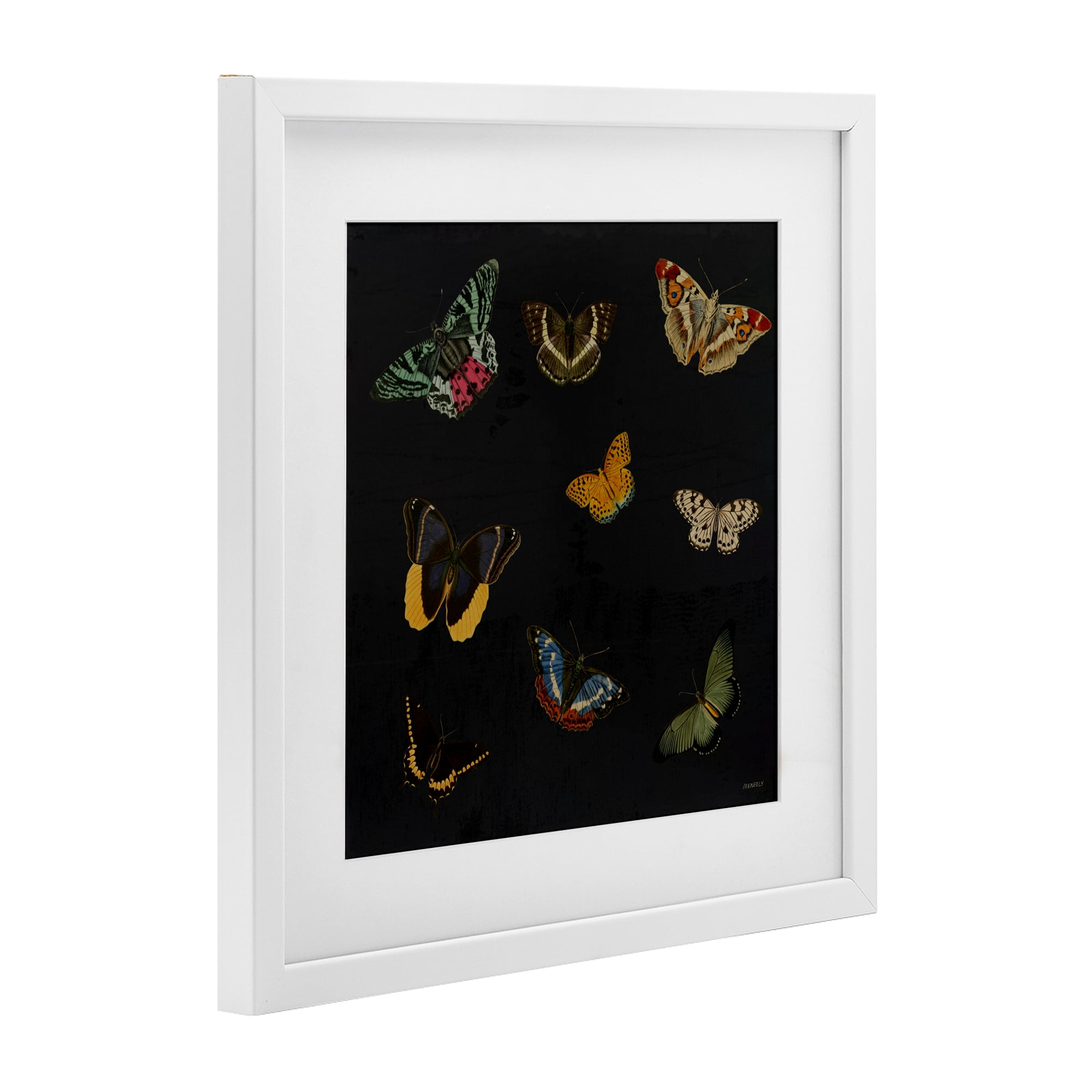 Stupell Industries Butterfly & Moth Collection White Framed Print Under Glass, design by Dan Meneely