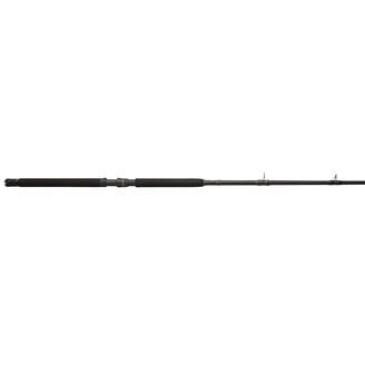 penn battalion inshore fishing rods mfg 10' II Surf Conventional Casting Rod, 12-20lb Line Rating, 2-Piece Graphite Composite Rod, Black/Gold : Sports & Outdoors yet balanced rod Battalion II Inshore Spinning Rod