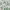 Peony Pattern/Sage Green, variant on NICETOWN Floral Curtains for Living Room, Semi Sheer Linen Curtains Light Filtering Farmhouse Back Tab Window Drapes, Blue, 52"x84", 2 Panels