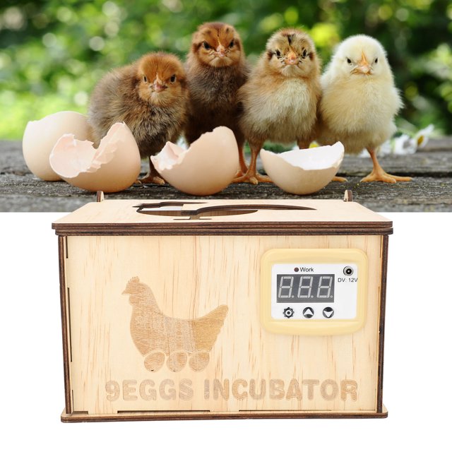 Incubadora De Huevos, Enchufe De La UE 250 V, Operación Simple, 9 Incubadoras De Huevos Con Lecho De Agua Para Ganso