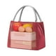 thumbnail image 4 of Bolsa térmica reutilizable para almuerzo, lonchera térmica, lonchera a prueba de fugas para adultos, oficina, trabajo, picnic, viajes, lonchera plegable portátil, diseño de marco metálico,, 4 of 9