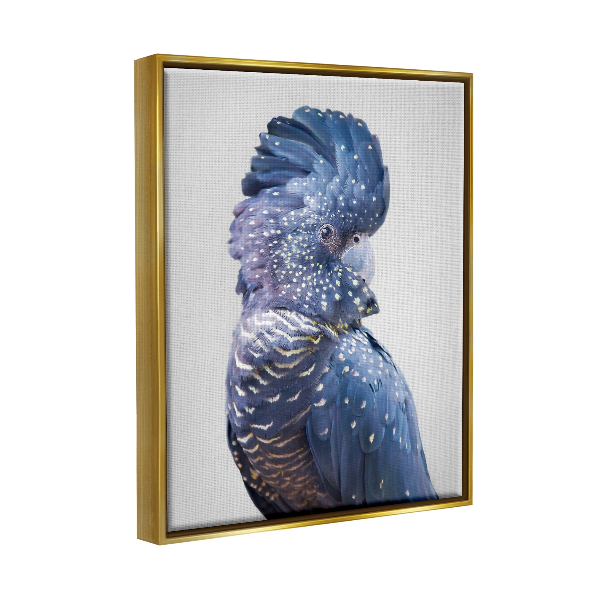 Stupell Industries Grey Cockatoo Portrait Animals & Insects Photography Gold Floater Framed Art Print Wall Art, 17 x 21