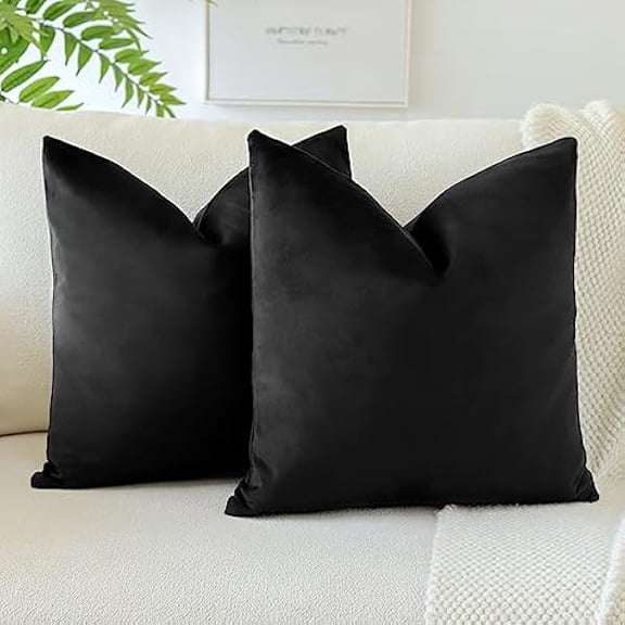 Eryueer Pack of 2 Velvet Soft Solid Cushion Covers 40x40 cm 16x16 Inch Decorative Throw Pillow Covers Square Cushion Case Home Decor Pillow Cases for Couch Sofa Living Room Bedroom (Black)