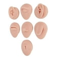 thumbnail image 2 of Body Model, Silicone Body Part Model 3D Compact Vivid With Display Rack For  For  Technicians Light Skin Color,Medium Skin Color,Dark Skin Color, 2 of 8