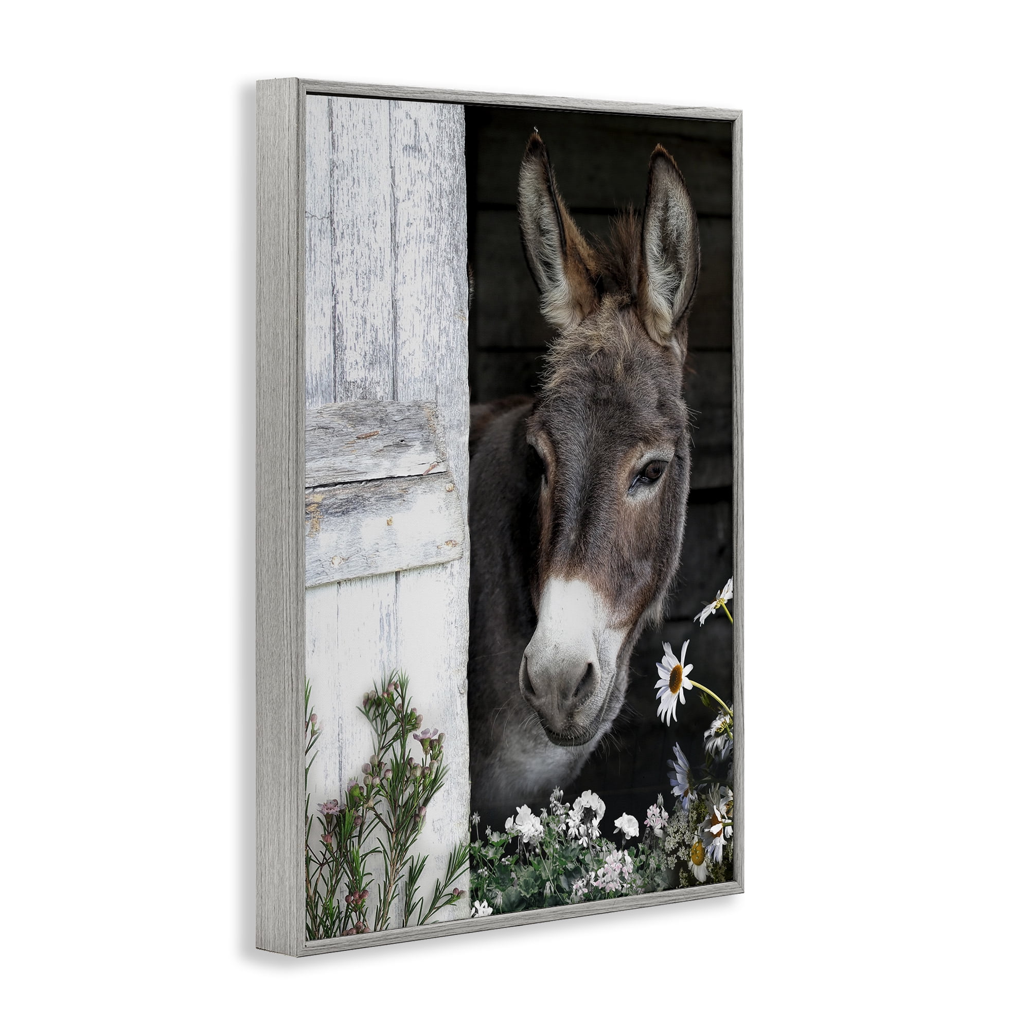 Stupell Industries Gentle Donkey Peering from Barn Gray Framed Giclee Art, design by CAD Designs