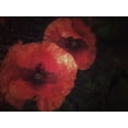 thumbnail image 2 of Margau, Delphine 18x15 Gold Ornate Wood Framed with Double Matting Museum Art Print Titled - Blood thirsty Poppies, 2 of 4