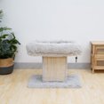 thumbnail image 2 of Catry Ivory Cat Perch & Scratcher, 2 of 9