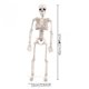 thumbnail image 4 of Halloween Skeleton Artificial Human Body Plastic Skeleton Ghost Bride And Groom Couple Skeleton Decoration Props, 4 of 5