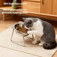 thumbnail image 4 of Raised Stainless Steel Cat Food Bowl, 15° Tilted Anti-Vomiting Dog Dishes with Metal Stand for Indoor Cats, Kitten, Puppies and Small Dogs, Whisker Friendly, 4 of 9