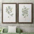 thumbnail image 5 of Eucalyptus I - Premium Framed Canvas 2 Piece Set - Ready to Hang, 5 of 7