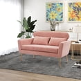 thumbnail image 2 of 51" Loveseat Sofa, Modern Chenille Upholstered Loveseat Couch with Headrest and Armrests, Elegant Twin Size Accent Sofa with 2 Pillows and Golden Metal Legs, Two-Seater Sofa Living Room Sofa, Pink, 2 of 7