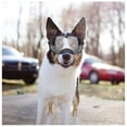 thumbnail image 4 of Black, Clear Dog Goggles Medium And Large Dog Sports Sunglasses Anti-uv Soft Pet Goggles Deep Eyecup Anti-fog/windproof Outdoor, 4 of 5