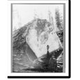 thumbnail image 2 of Historic Framed Print, Cascade Mountains, near Seattle, Wash.: [Man reacing toward top of huge fir log], 17-7/8" x 21-7/8", 2 of 9