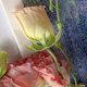 thumbnail image 5 of 50 piezas de cálices de flores de plástico, sépalos de plástico, receptáculos de cálices de flores falsas para flores de bricolaje, 5 of 6