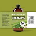thumbnail image 2 of Lab Bulks Lemongrass Essential Oil 16 fl oz (Pack of 1) for Diffusers, Home Care, Candles, Hair and Room Spray, 2 of 9