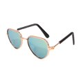 thumbnail image 1 of Gafas De Sombra Para Perros Y Gatos, Accesorios Para Mascotas, Gafas Polarizadas De Plástico Para Mascotas A Prueba De Sol Advancent PT002700-02, 1 of 6