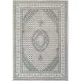thumbnail image 1 of Dynamic Rugs AN28572049666 2 ft. 2 in. x 7 ft. 7 in. Ancient Garden 57204 Rectangle Traditional Area Rug - 9666 Soft Grey & Cream, 1 of 1