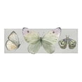 thumbnail image 3 of Robinson, Carol 14x8 Black Modern Framed Museum Art Print Titled - Pretty Insects II, 3 of 5