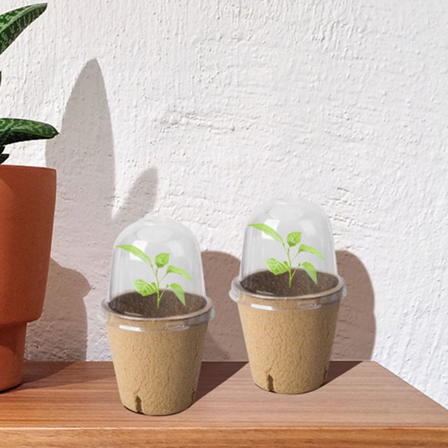Copa de plántulas de 10 piezas Cultivo de maceta de tapa transparente Germinación Plantilla biodegradable Copa de cultivo versátil para jardinería