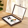 thumbnail image 1 of OULII Display Frame Shadow Box for Specimen Storage Wood Assorted Color Wall Mounted 1 Set, 1 of 6