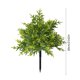 thumbnail image 3 of Decoraciones navideñas, adornos navideños, regalos navideños Decoración navideña Inserción de suelo artificial Plantas verdes simuladas Decoración de suelo de plástico, 3 of 6