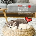 thumbnail image 5 of Perfect Petzzz Original Petzzz Alaskan Husky Plush, Realistic, Life-Like Stuffed Interactive Plush Toy, Electronic Pets, Companion Pet Dog with 100% Handcrafted Synthetic Fur, 5 of 7
