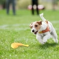thumbnail image 5 of Pet Toy Interactive Artificial Food Dog Bite Toy Pet Teether Dog Squeaky Toy, 5 of 5