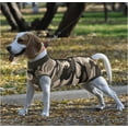 thumbnail image 4 of GreenJoy Recovery Suit for Dog, Cat Abdominal Wounds, Pet Surgery Recovery Snugly, Cone & Collars, 4 of 7