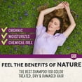 thumbnail image 3 of Champú EcoLove, natural, vegano y libre de crueldad animal, 500 ml, tratado con color, 3 of 6