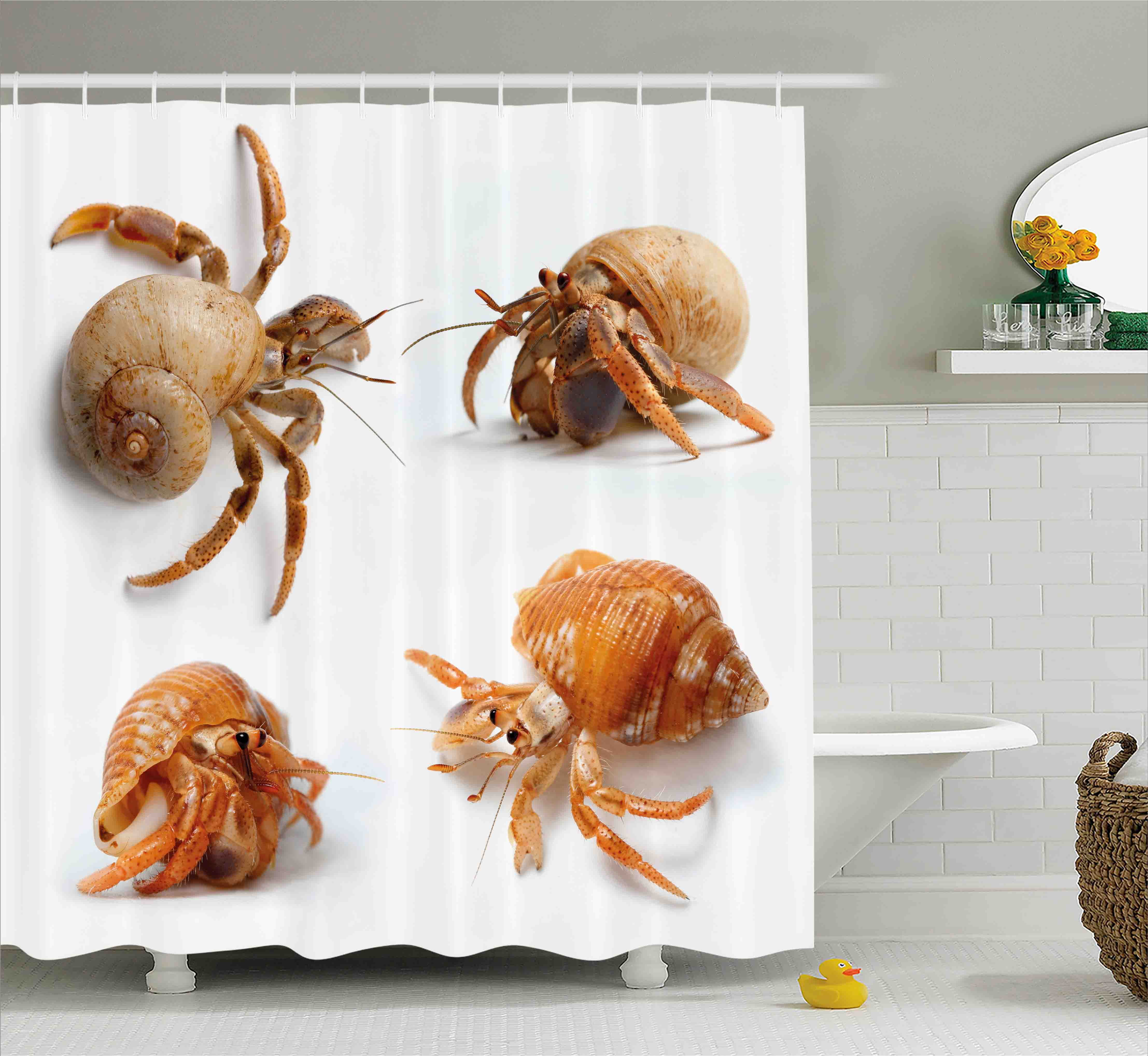 Crabs Decor Shower Curtain, Sea Animals Theme Set of Hermit Crabs from