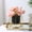 C, variant on Iron Hydroponic Vase and Planter | Handsome Style for Home Decor | Desktop & Living Room Plants Holder | Sturdy Iron Construction