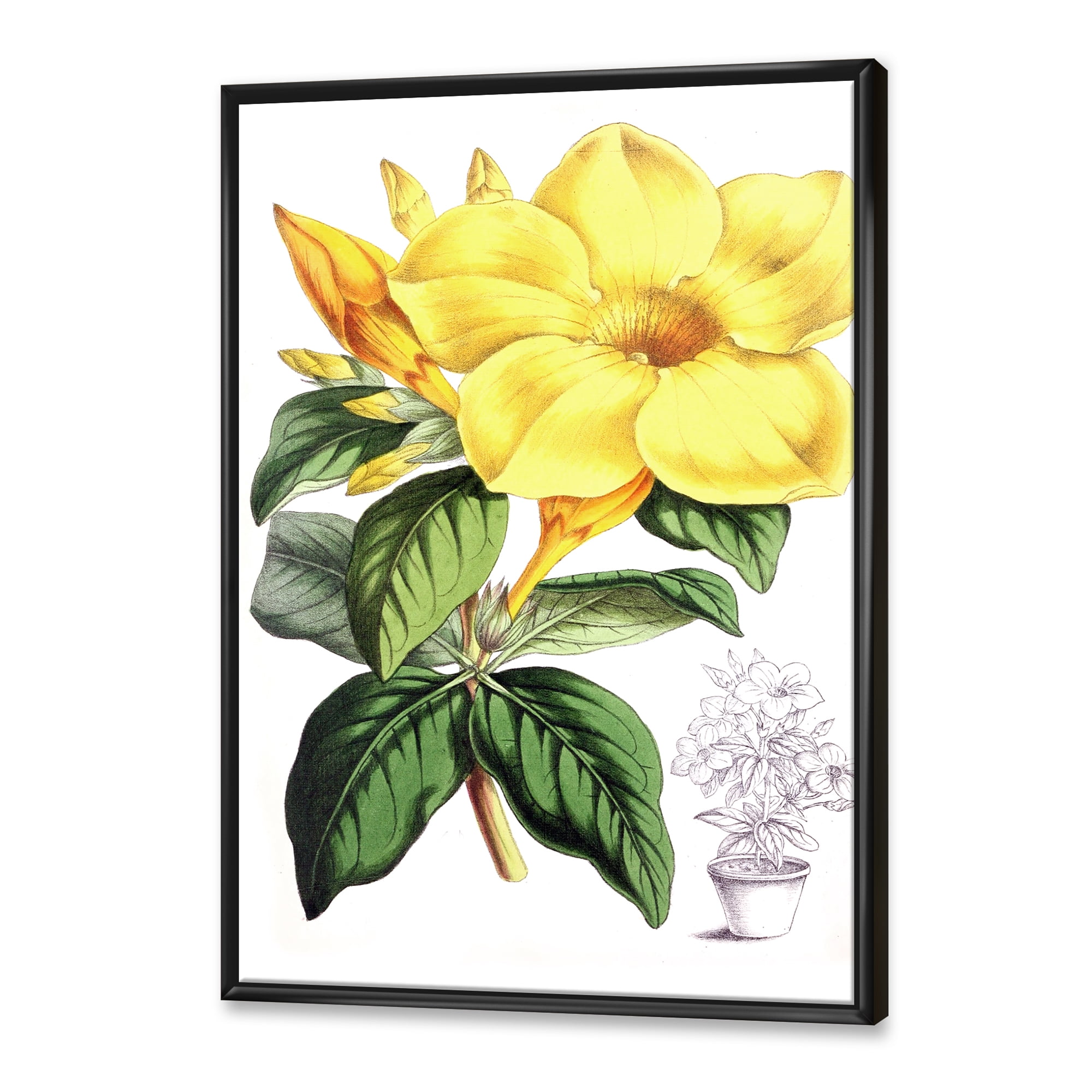 Green Leaves With Tropical Yellow Flowers II 30 in x 40 in Framed Painting Canvas Art Print, by Designart